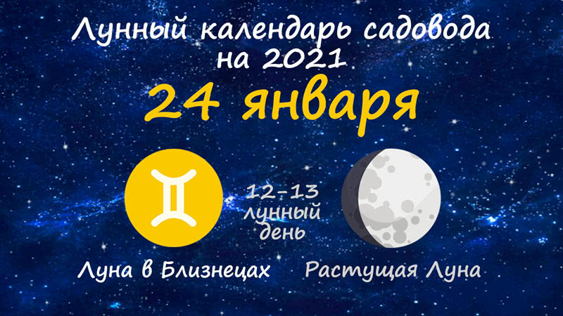 Лунная Диета На 2021 Год