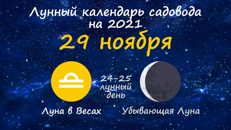 Лунный календарь садовода-огородника на 29 ноября 2021 года