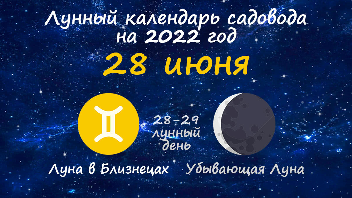 Лунный календарь садовода-огородника на 28 июня 2022 года