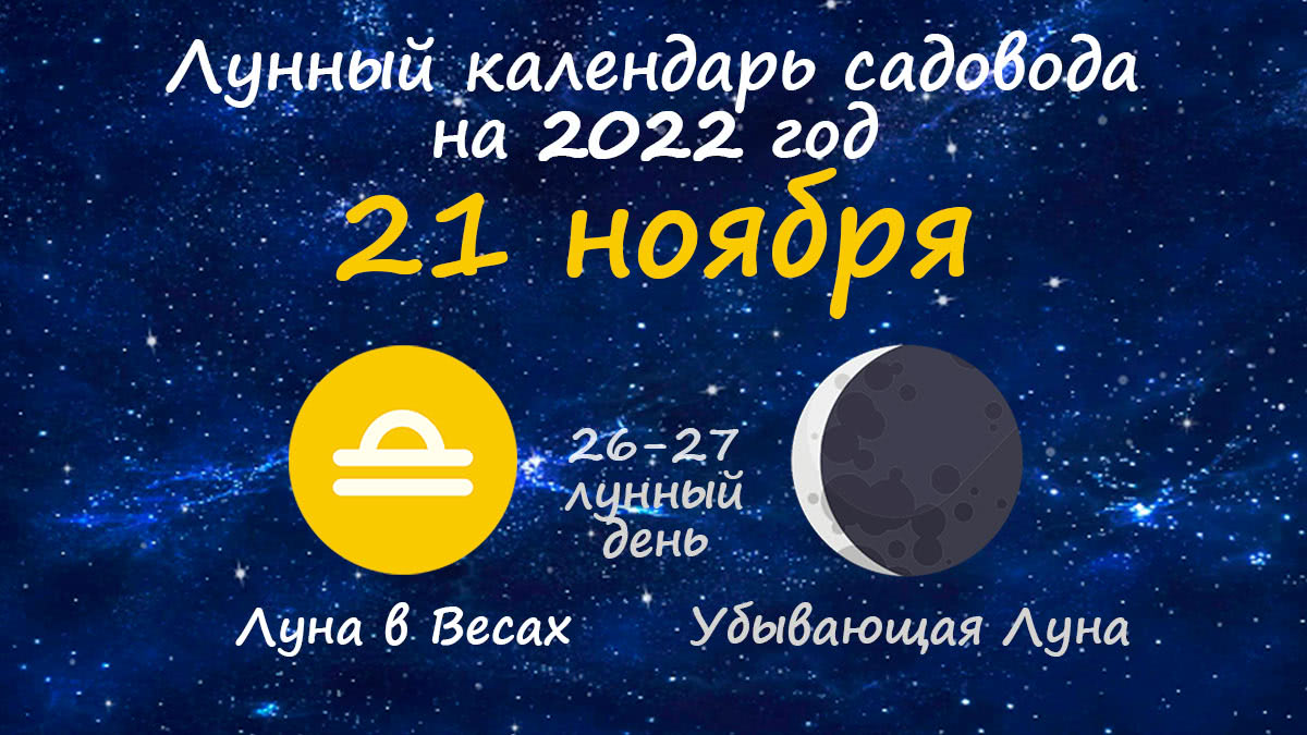 Лунный календарь садовода-огородника на 21 ноября 2022 года