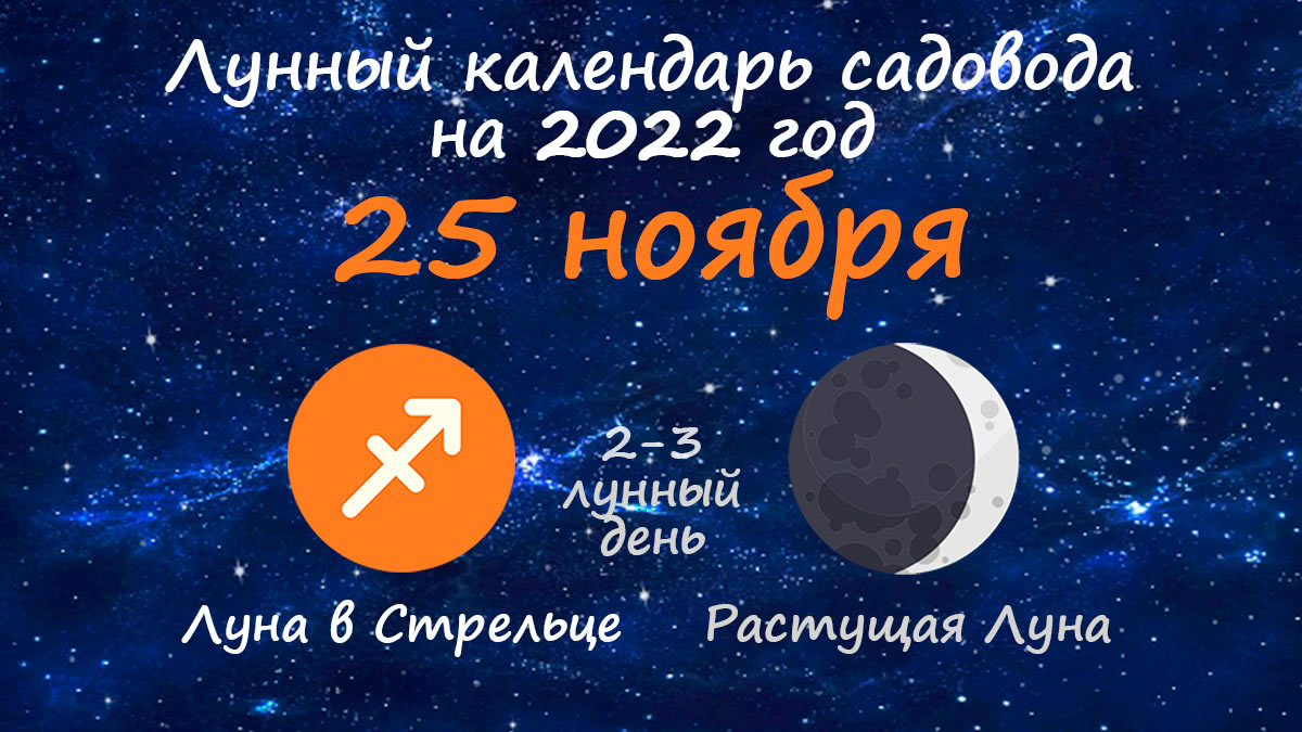 Лунный календарь садовода-огородника на 25 ноября 2022 года