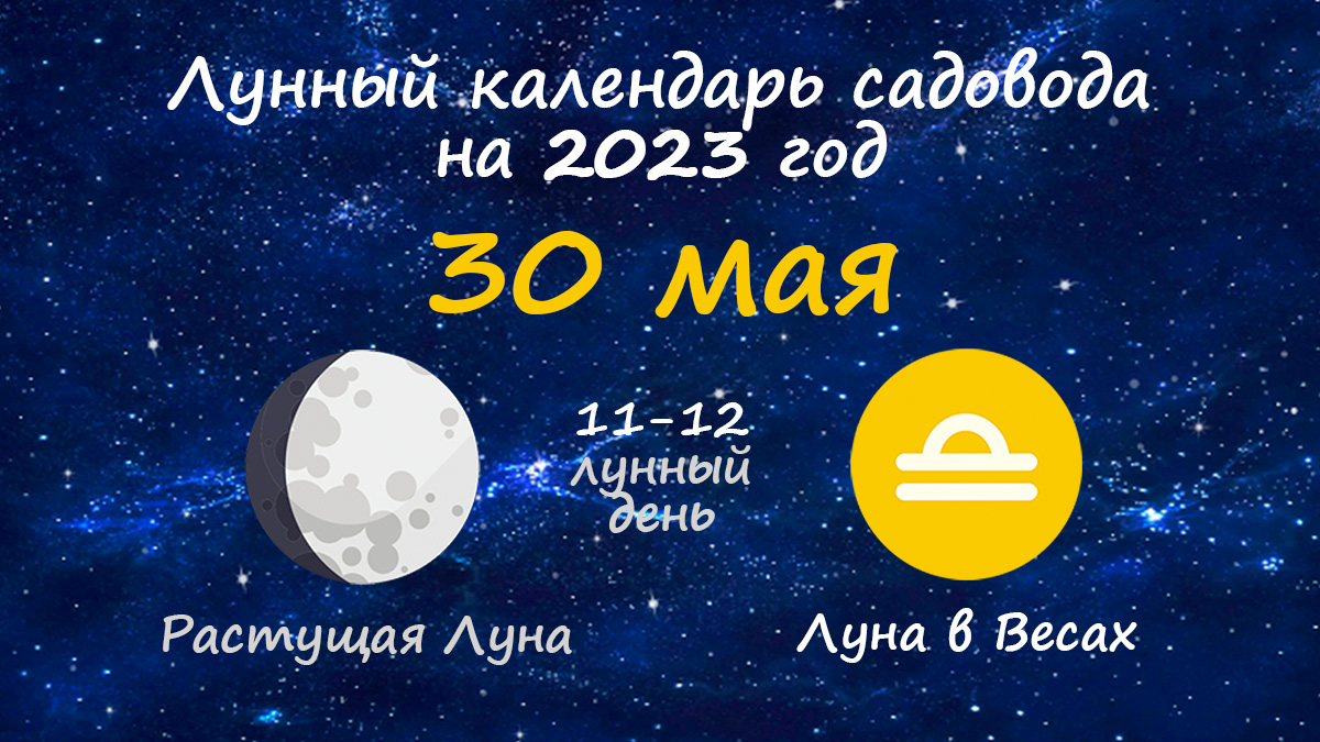 Лунный календарь садовода-огородника на 30 мая 2023 года