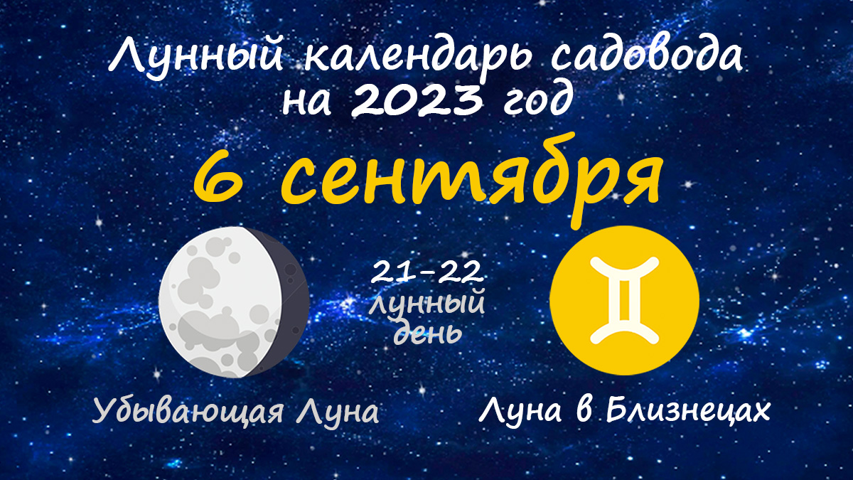 Лунный календарь садовода-огородника на 6 сентября 2023 года