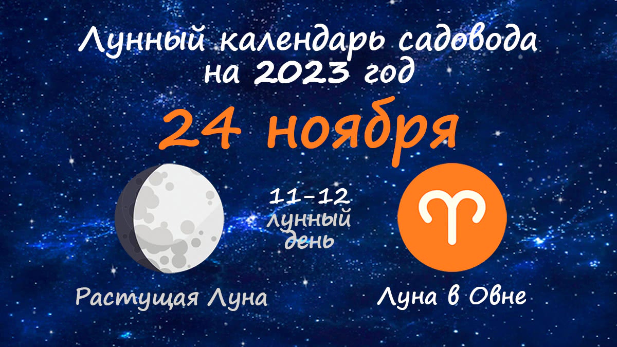 Лунный календарь садовода-огородника на 24 ноября 2023 года