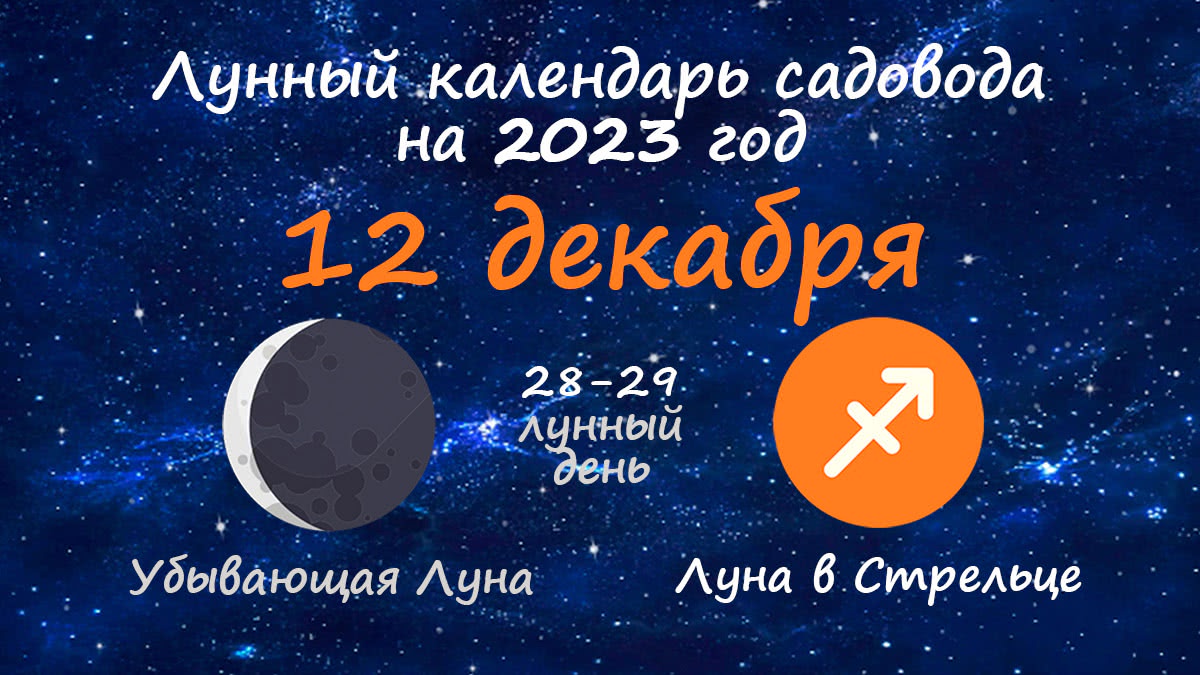 🌱 Посевной календарь на 12.12.2023 года – что можно сажать?