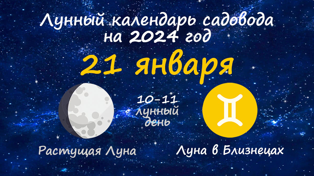 Лунный календарь садовода-огородника на 21 января 2024 года