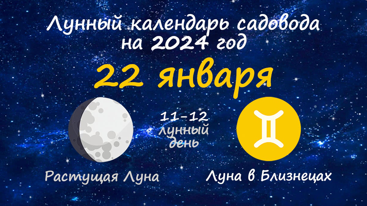 Лунный календарь садовода-огородника на 22 января 2024 года