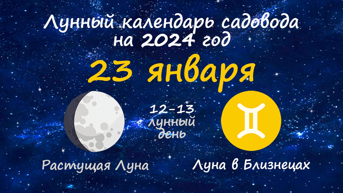 Лунный календарь садовода-огородника на 23 января 2024 года