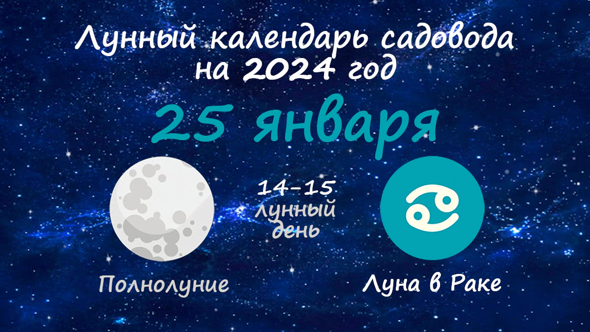 Лунный календарь садовода-огородника на 25 января 2024 года