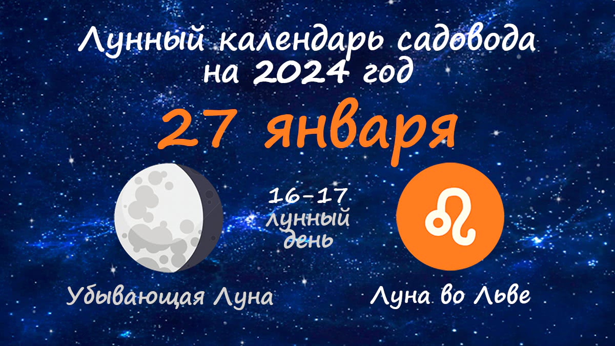 Лунный календарь садовода-огородника на 27 января 2024 года