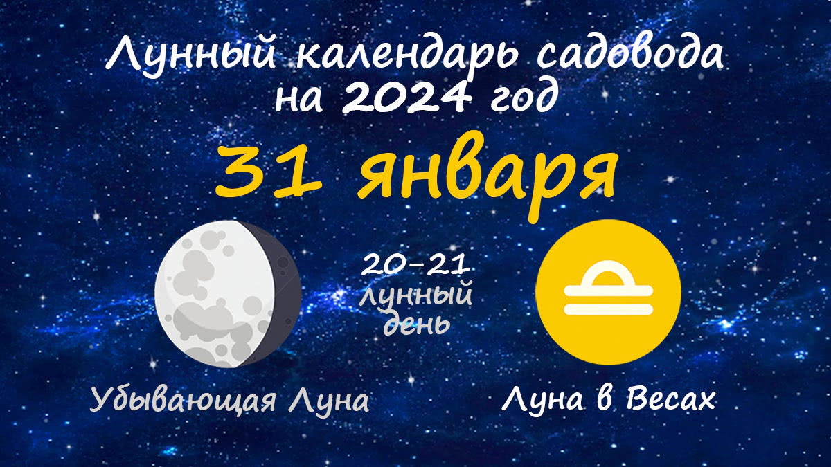 Лунный календарь садовода-огородника на 31 января 2024 года