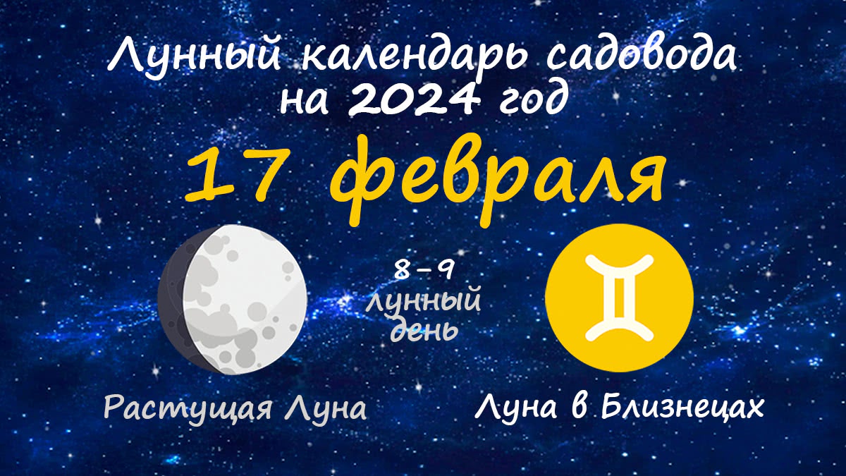 Лунный календарь садовода-огородника на 17 февраля 2024 года