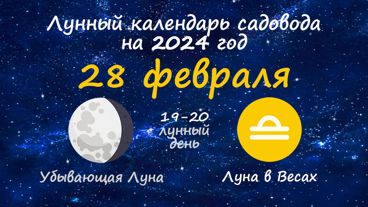 Лунный календарь садовода-огородника на 28 февраля 2024 года