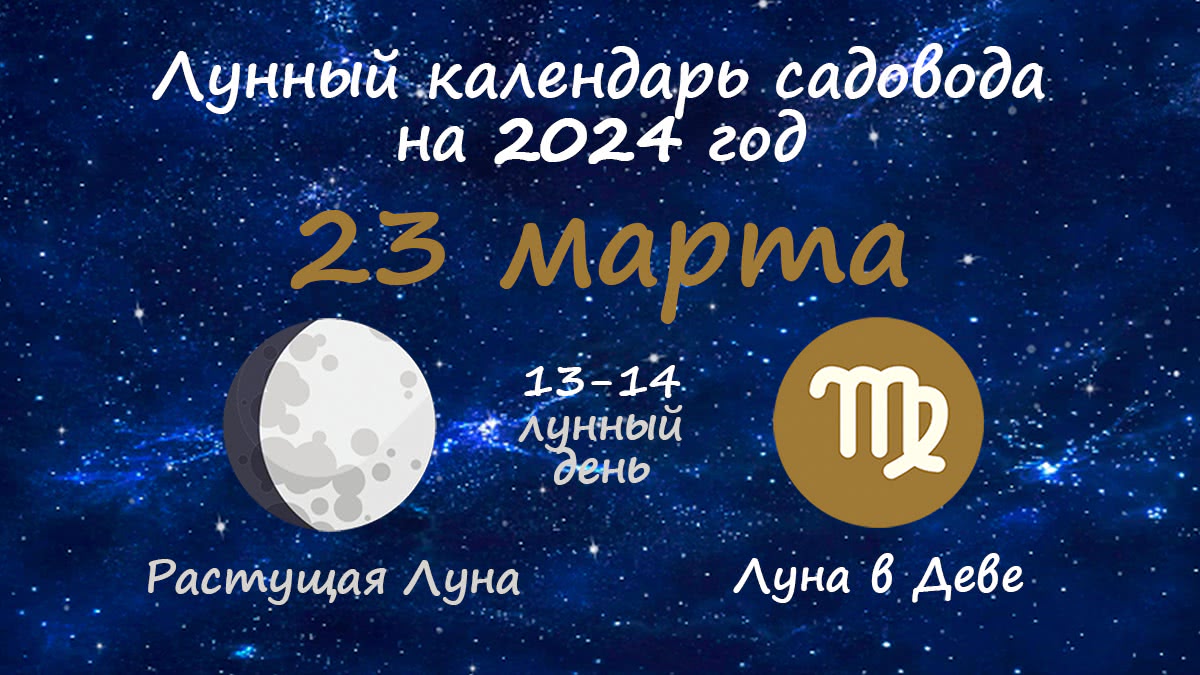 Лунный календарь садовода-огородника на 23 марта 2024 года