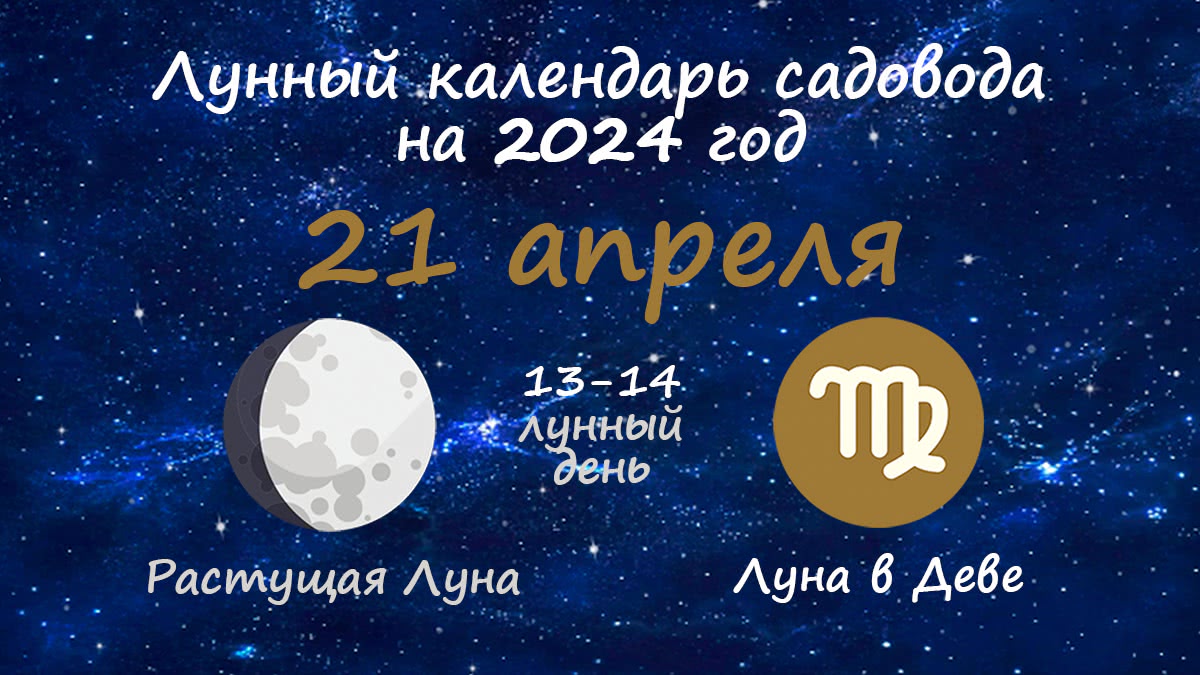 Лунный календарь садовода-огородника на 21 апреля 2024 года