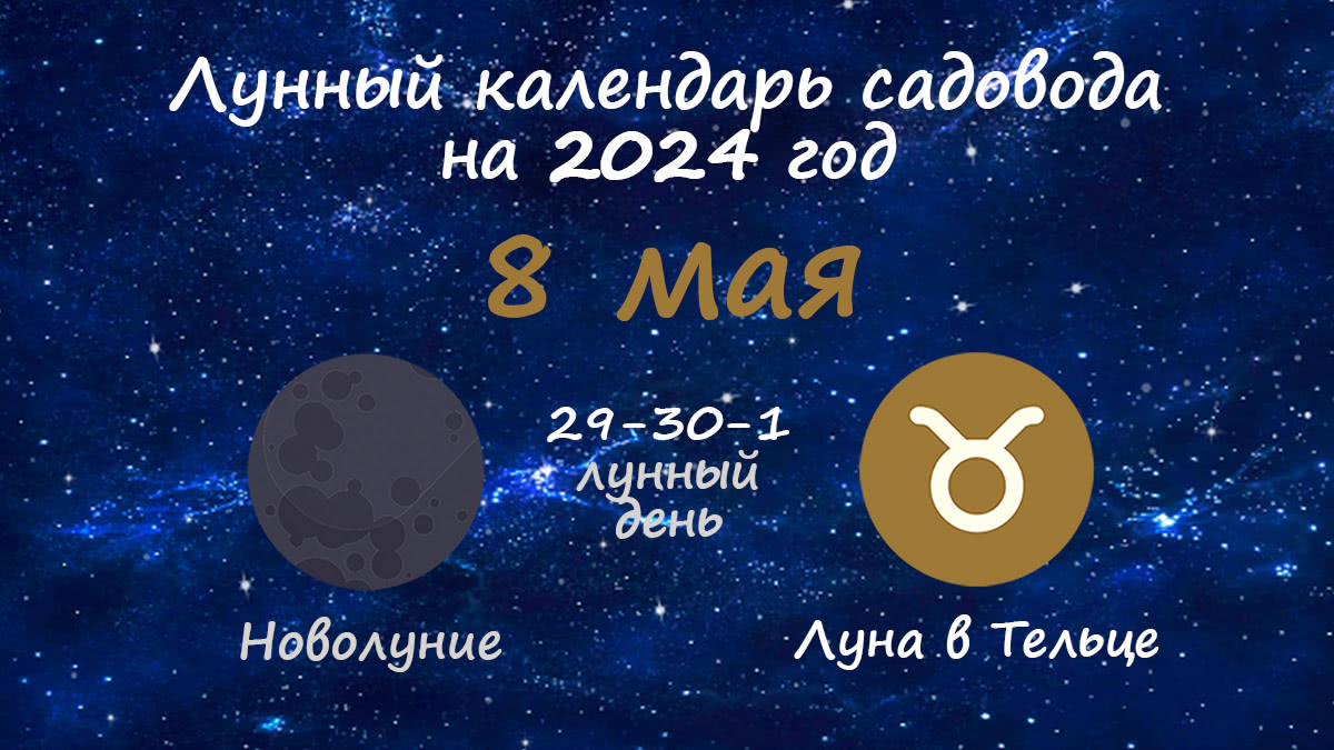 Лунный календарь садовода-огородника на 8 мая 2024 года