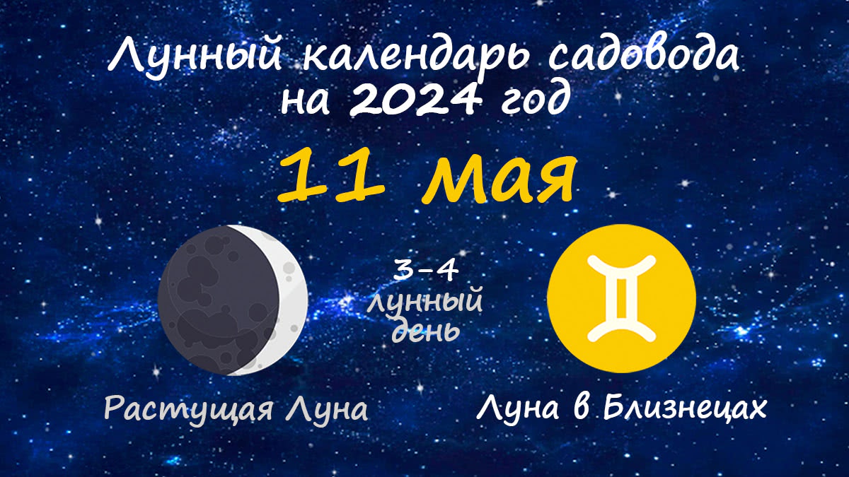 Лунный календарь садовода-огородника на 11 мая 2024 года