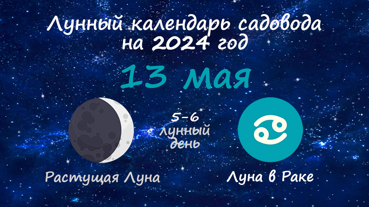 Лунный календарь садовода-огородника на 13 мая 2024 года