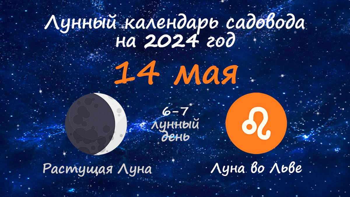 Лунный календарь садовода-огородника на 14 мая 2024 года