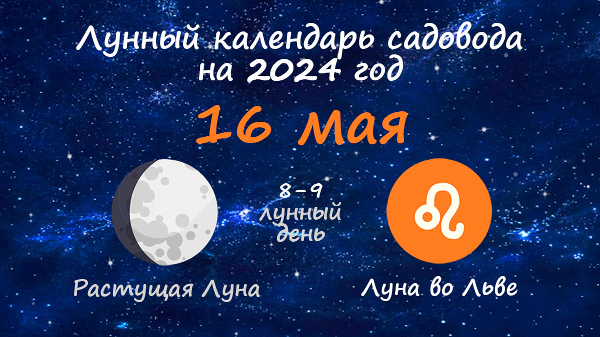 Лунный календарь садовода-огородника на 16 мая 2024 года