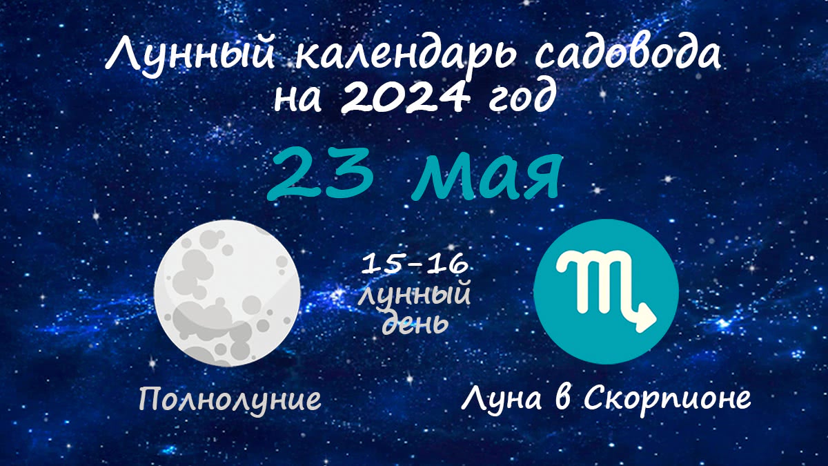 Лунный календарь садовода-огородника на 23 мая 2024 года