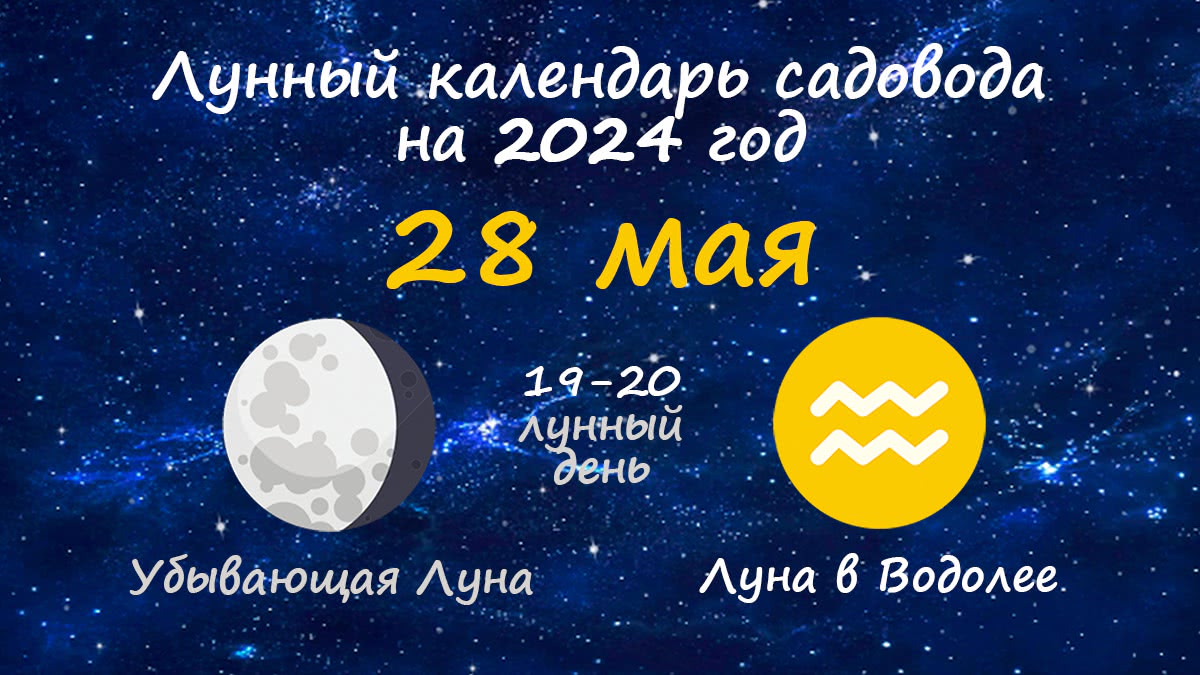 Лунный календарь садовода-огородника на 28 мая 2024 года