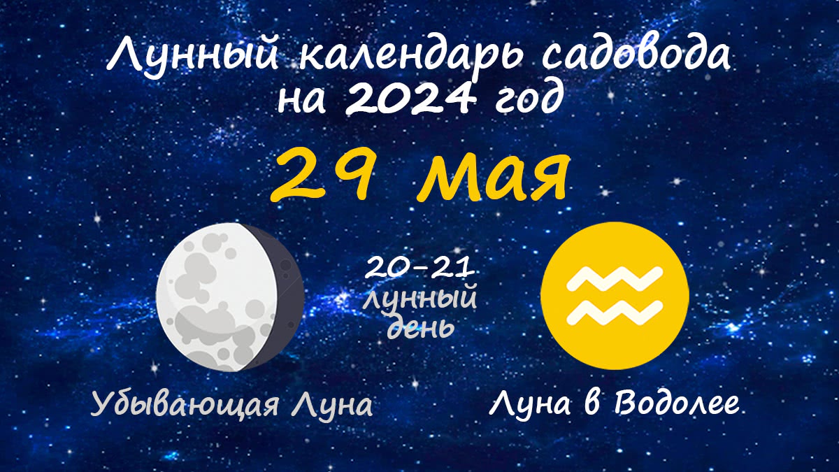 Лунный календарь садовода-огородника на 29 мая 2024 года