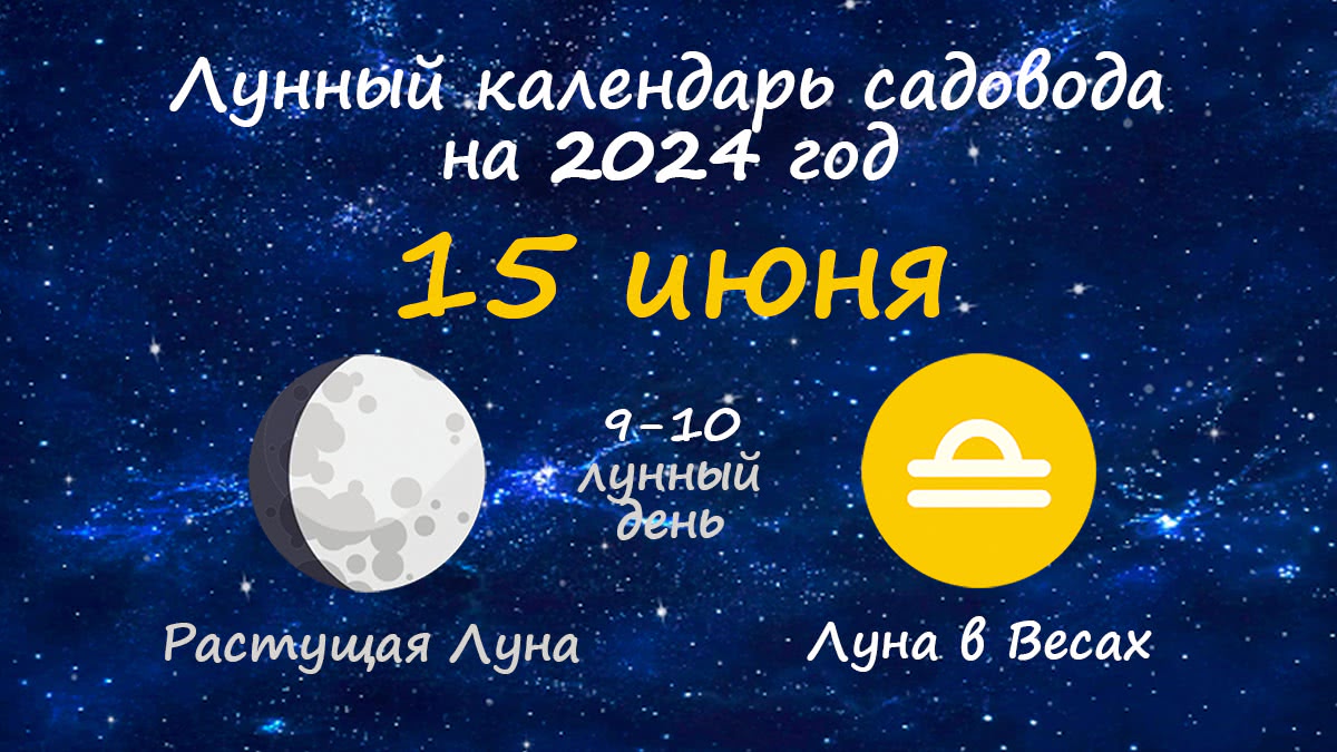 Лунный календарь садовода-огородника на 15 июня 2024 года