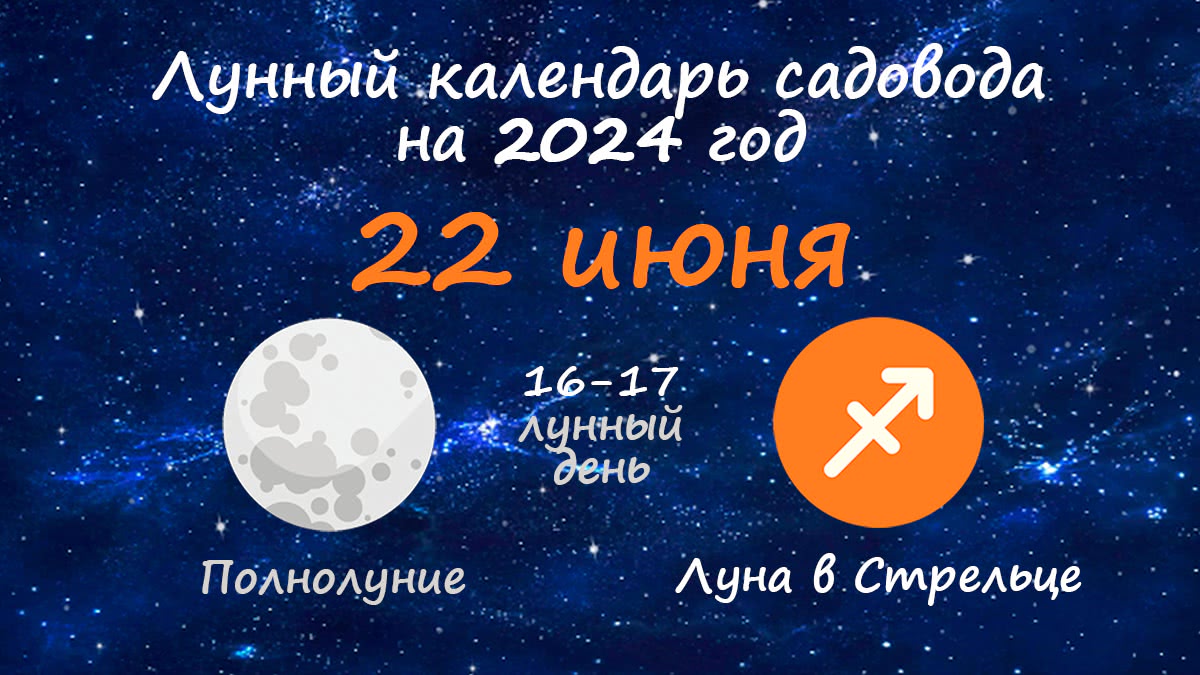 Лунный календарь садовода-огородника на 22 июня 2024 года