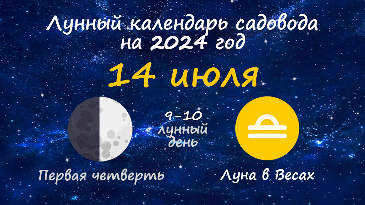 Лунный календарь садовода-огородника на 14 июля 2024 года