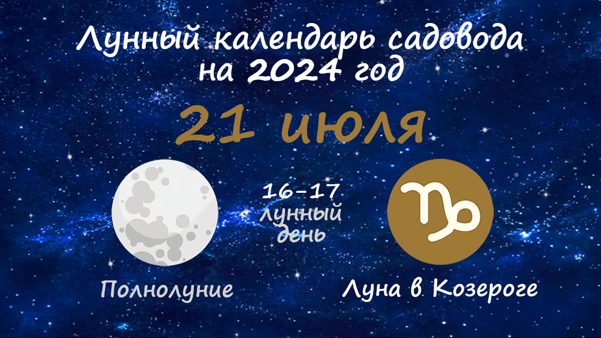 Лунный календарь садовода-огородника на 21 июля 2024 года