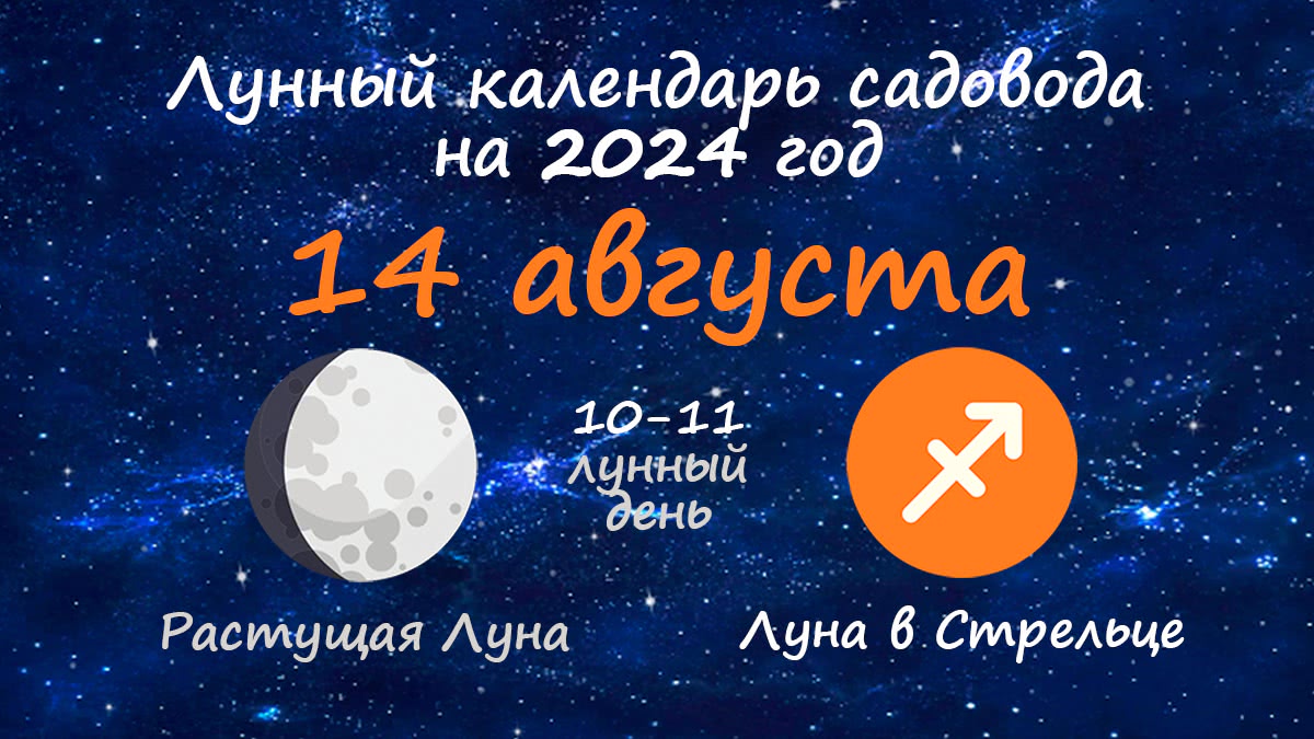 Лунный календарь садовода-огородника на 14 августа 2024 года
