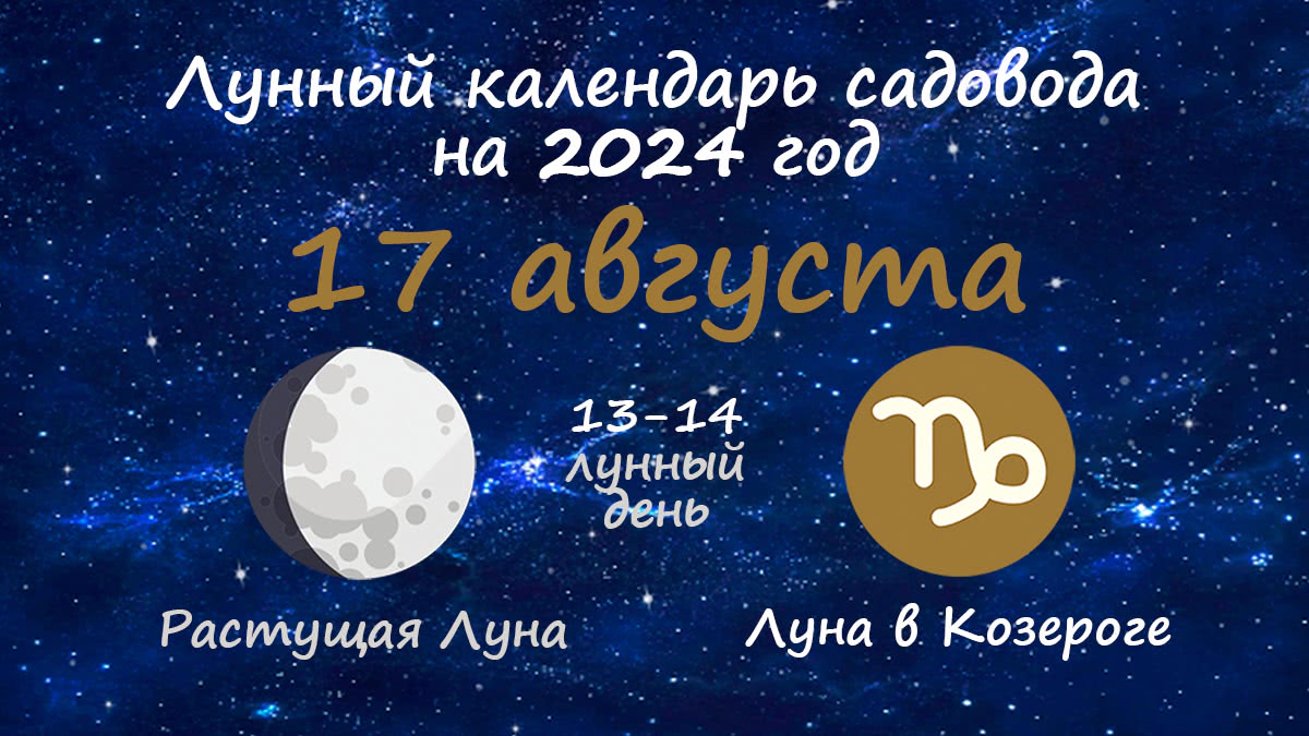 Лунный календарь садовода-огородника на 17 августа 2024 года