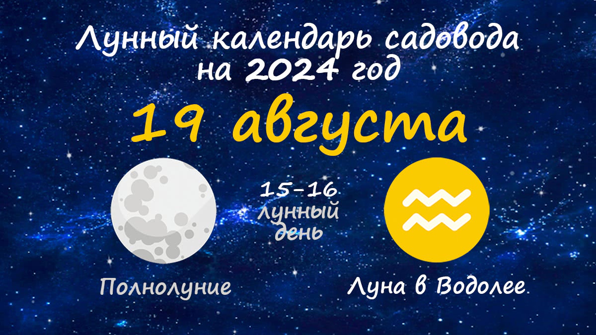 Лунный календарь садовода-огородника на 19 августа 2024 года