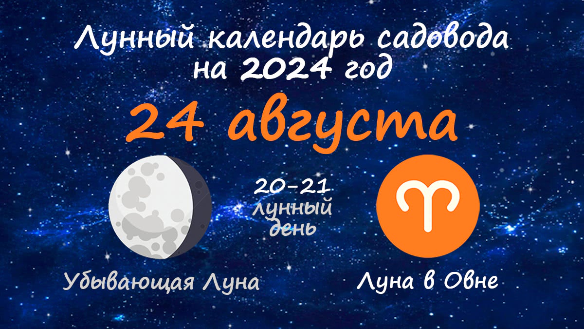 Лунный календарь садовода-огородника на 24 августа 2024 года
