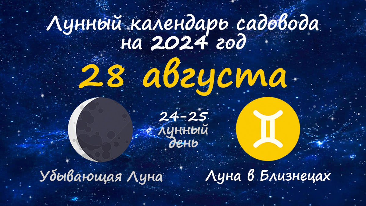 Лунный календарь садовода-огородника на 28 августа 2024 года