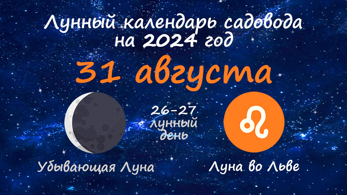 Лунный календарь садовода-огородника на 31 августа 2024 года