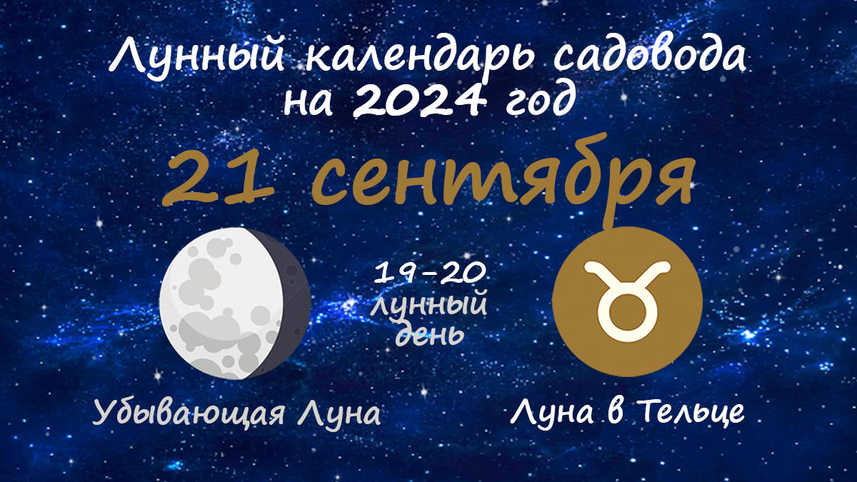 Лунный календарь садовода-огородника на 21 сентября 2024 года