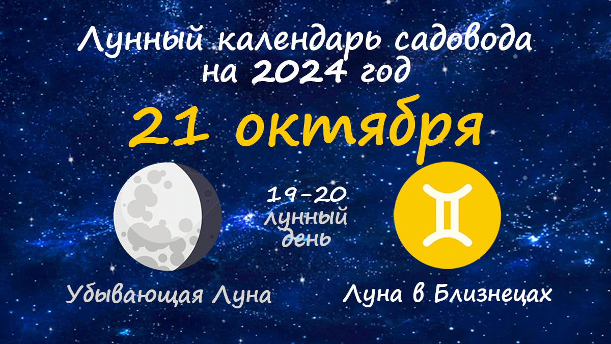 Лунный календарь садовода-огородника на 21 октября 2024 года