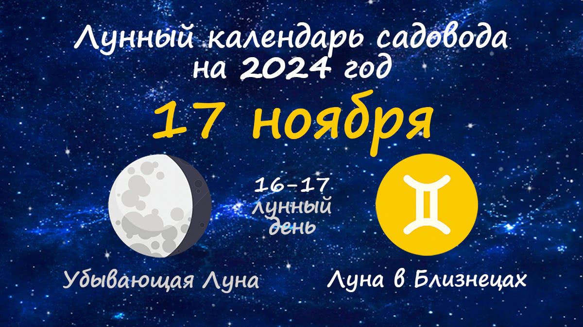 Лунный календарь садовода-огородника на 17 ноября 2024 года