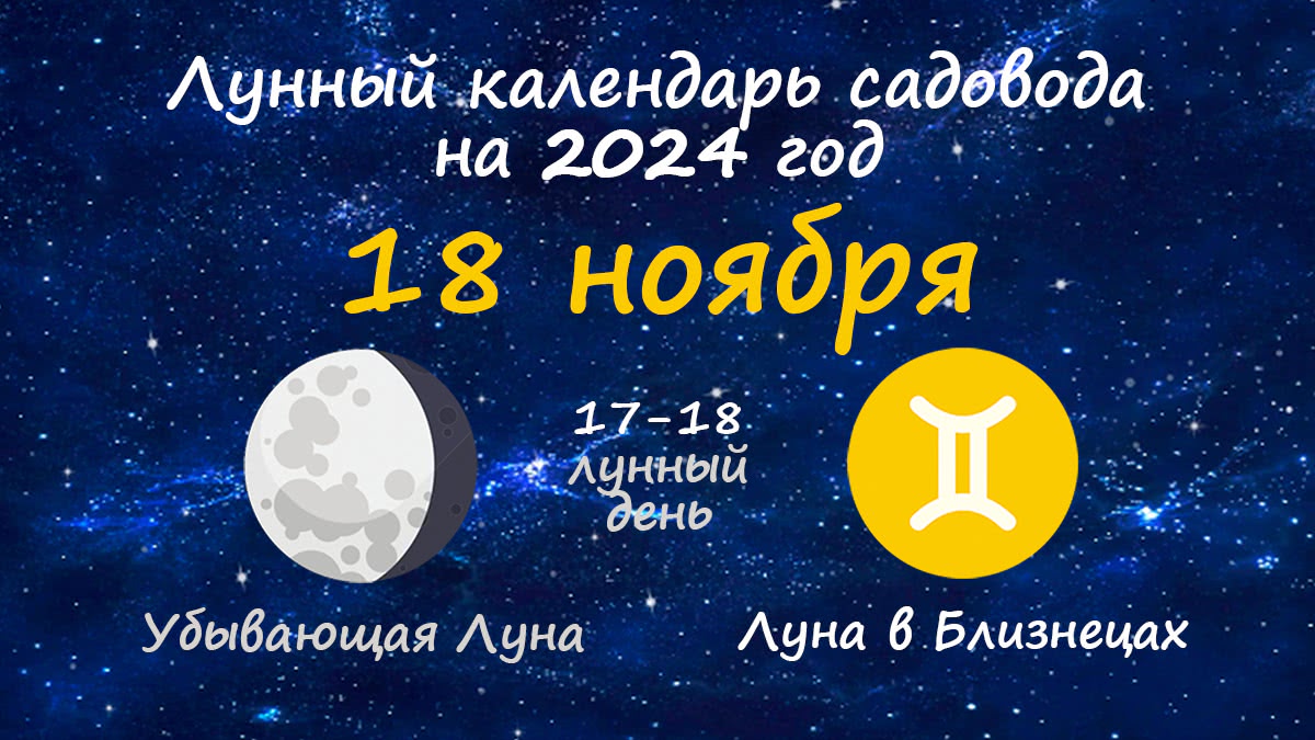 Лунный календарь садовода-огородника на 18 ноября 2024 года