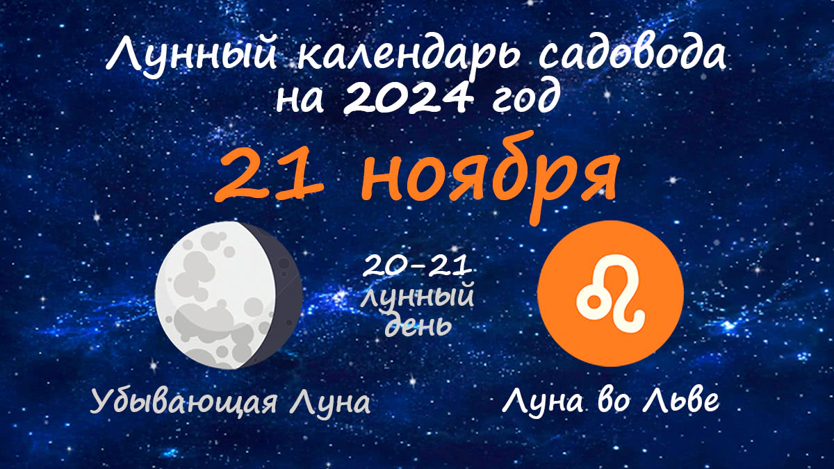 Лунный календарь садовода-огородника на 21 ноября 2024 года
