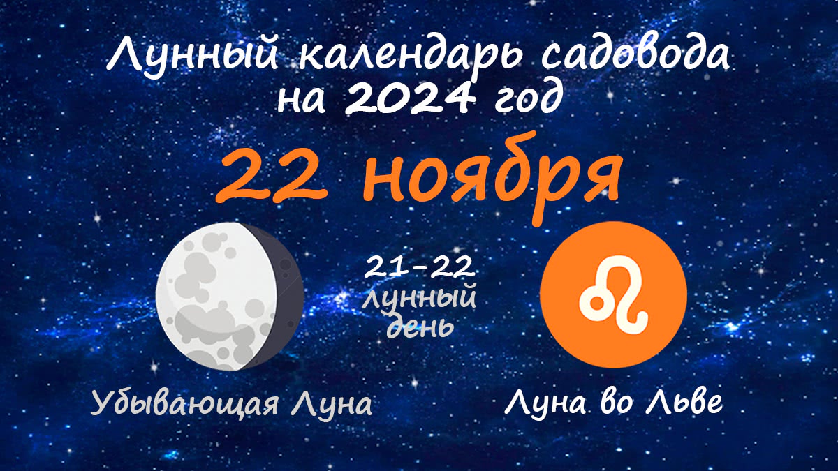 Лунный календарь садовода-огородника на 22 ноября 2024 года