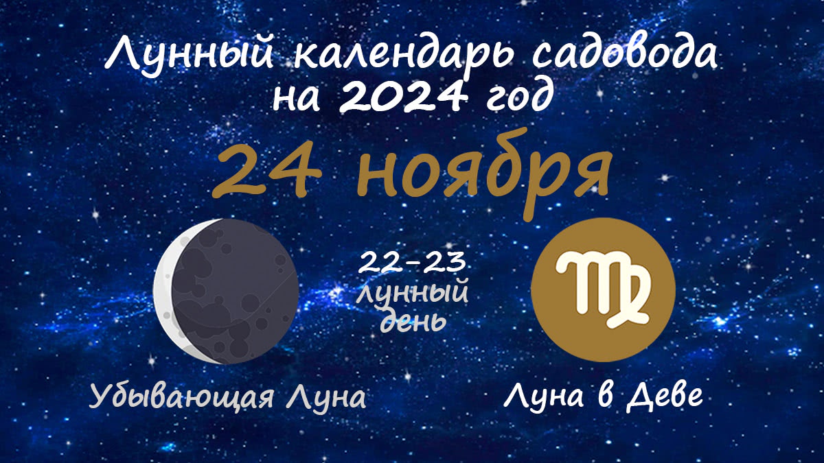 Лунный календарь садовода-огородника на 24 ноября 2024 года