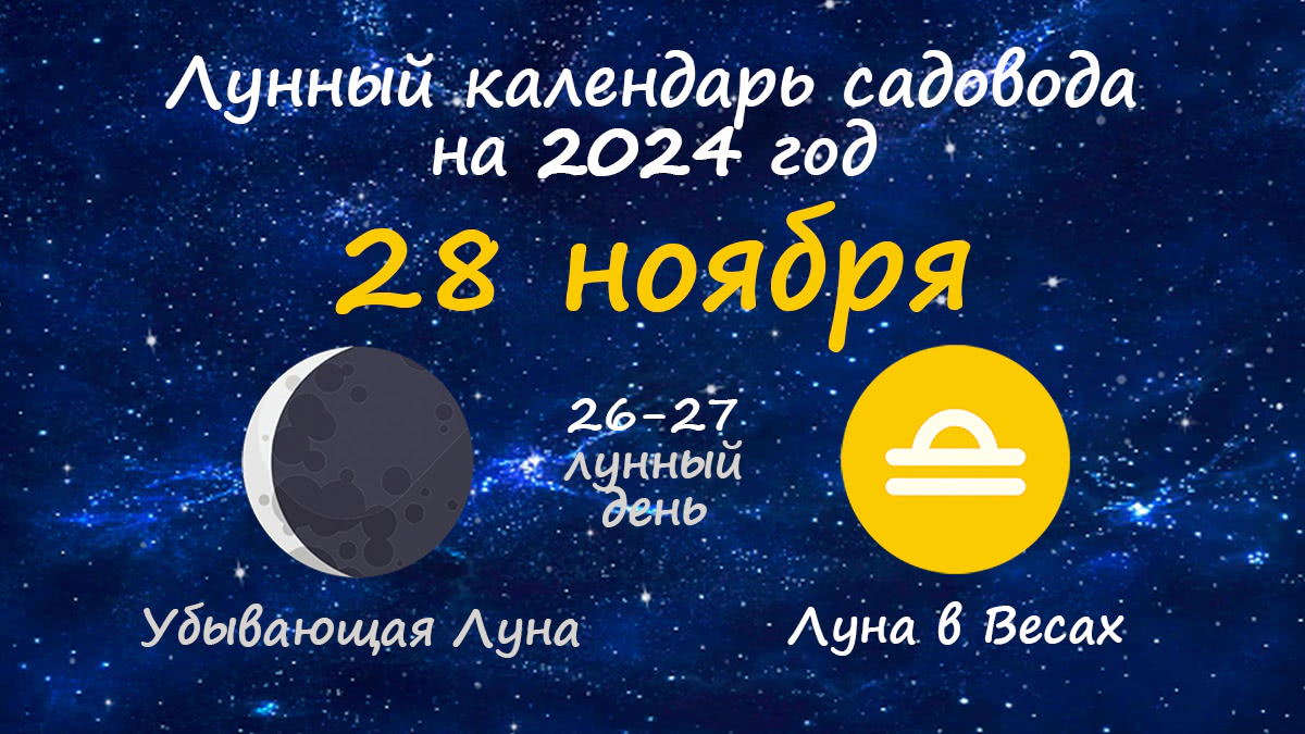 Лунный календарь садовода-огородника на 28 ноября 2024 года