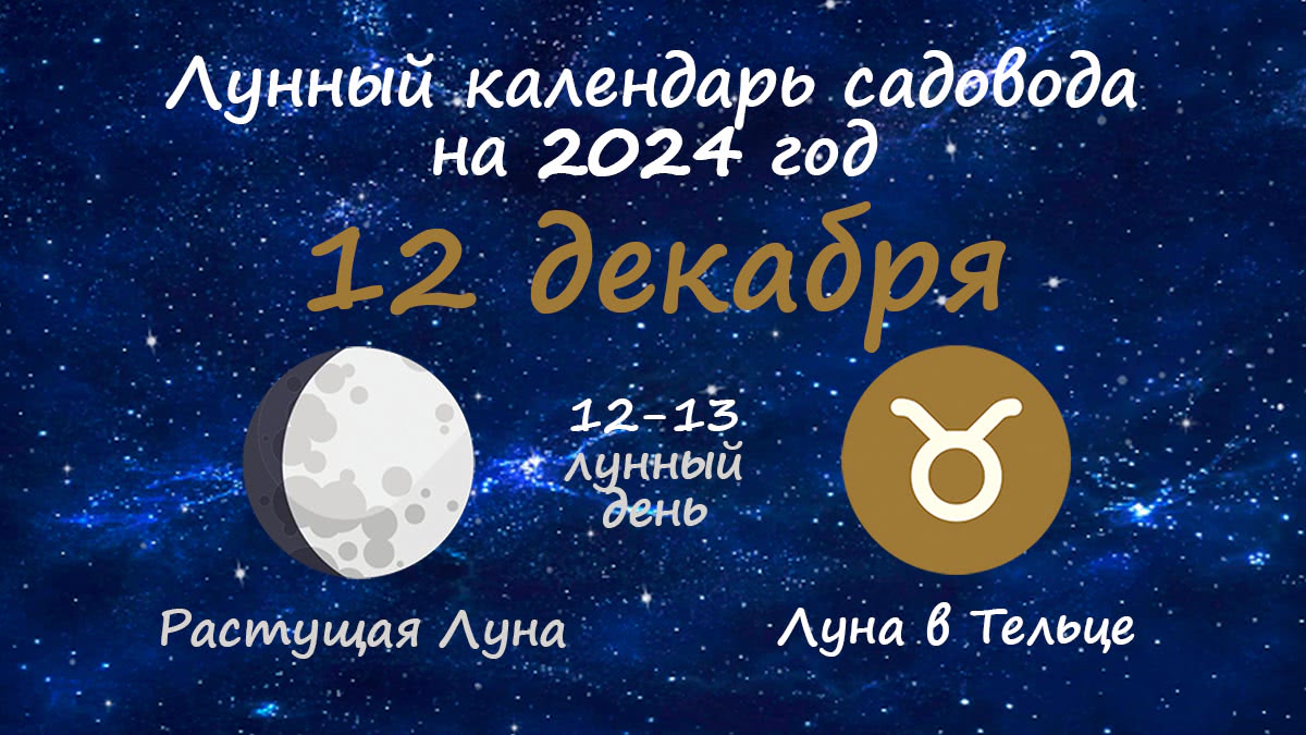 Лунный календарь садовода-огородника на 12 декабря 2024 года