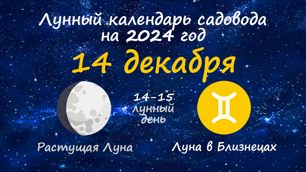 Лунный календарь садовода-огородника на 14 декабря 2024 года