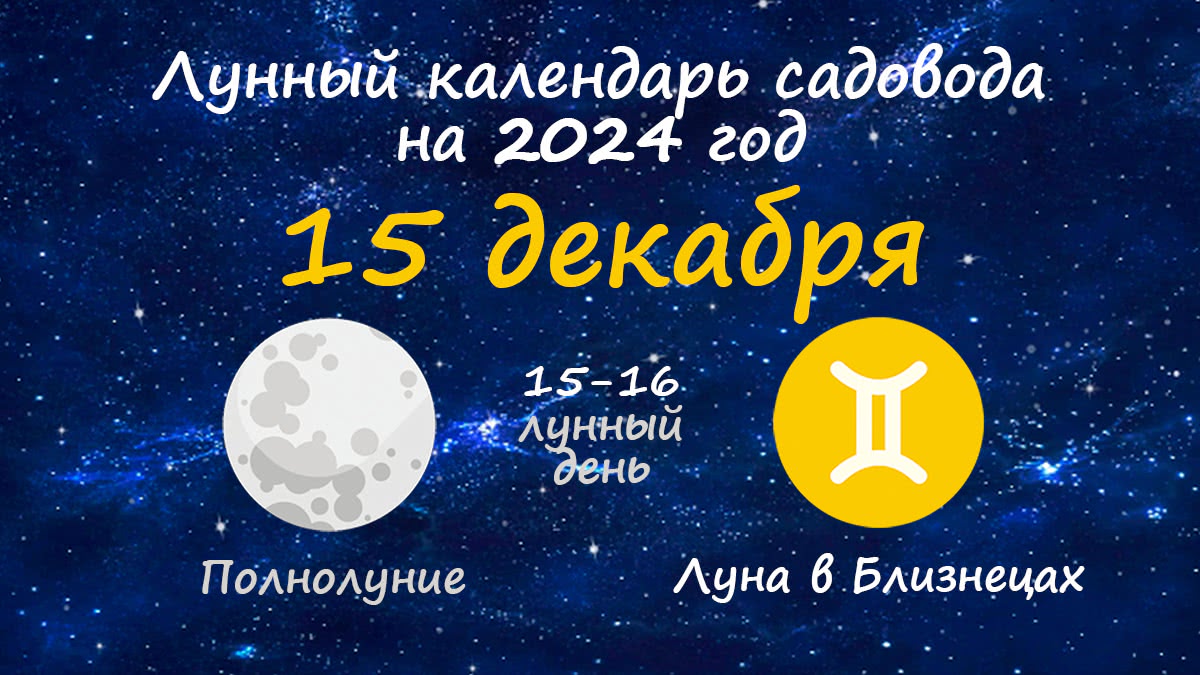 Лунный календарь садовода-огородника на 15 декабря 2024 года