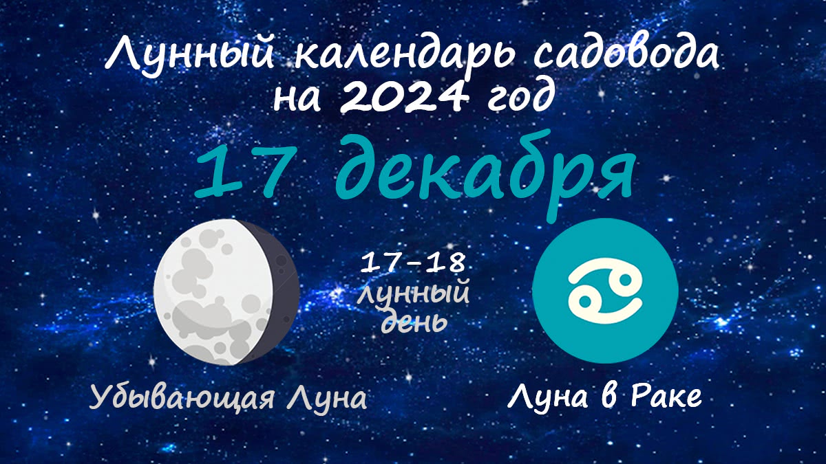 Лунный календарь садовода-огородника на 17 декабря 2024 года