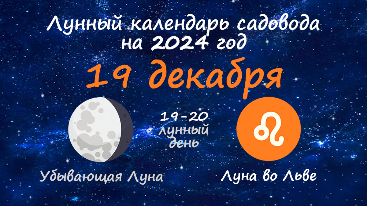 Лунный календарь садовода-огородника на 19 декабря 2024 года